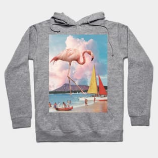 Flamingo Playground Hoodie